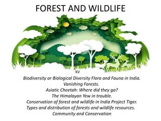 FOREST AND WILDLIFE
Biodiversity or Biological Diversity Flora and Fauna in India.
Vanishing Forests.
Asiatic Cheetah: Where did they go?
The Himalayan Yew in trouble.
Conservation of forest and wildlife in India Project Tiger.
Types and distribution of forests and wildlife resources.
Community and Conservation
KV
 