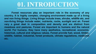 Forest and wildlife ppt | PPTX