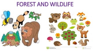 FOREST AND WILDLIFE
 