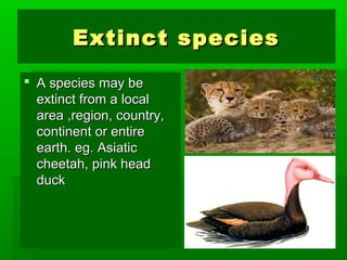 EExxttiinncctt ssppeecciieess 
 AA ssppeecciieess mmaayy bbee 
eexxttiinncctt ffrroomm aa llooccaall 
aarreeaa ,,rreeggiioonn,, ccoouunnttrryy,, 
ccoonnttiinneenntt oorr eennttiirree 
eeaarrtthh.. eegg.. AAssiiaattiicc 
cchheeeettaahh,, ppiinnkk hheeaadd 
dduucckk 
 