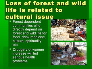 Loss ooff ffoorreesstt aanndd wwiilldd 
lliiffee iiss rreellaatteedd ttoo 
ccuullttuurraall iissssuuee 
 FFoorreesstt ddeeppeennddeenntt 
ccoommmmuunniittiieess wwhhoo 
ddiirreeccttllyy ddeeppeenndd oonn 
ffoorreesstt aanndd wwiilldd lliiffee ffoorr 
ffoooodd,, ddrriinnkk mmeeddiicciinnee,, 
ccuullttuurree,, ssppiirriittuuaalliittyy 
eettcc.. 
 DDrruuddggeerryy ooff wwoommeenn 
iinnccrreeaassee wwiillll lleedd 
sseerriioouuss hheeaalltthh 
pprroobblleemmss 
 