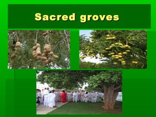 SSaaccrreedd ggrroovveess 
 