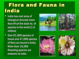 FFlloorraa aanndd FFaauunnaa iinn 
IInnddiiaa 
 IInnddiiaa hhaass vvaasstt aarrrraayy ooff 
bbiioollooggiiccaall ddiivveerrssiittyy mmoorree 
tthhaann 88%%ooff tthhee ttoottaall nnoo.. ooff 
ssppeecciieess iinn tthhee wwoorrlldd ((11..66 
mmiilllliioonn)) 
 OOvveerr 8811,,000000 ssppeecciieess ooff 
ffaauunnaa aanndd 4477,,000000 ssppeecciieess 
ooff fflloorraa aarree ffoouunndd iinn IInnddiiaa.. 
MMoorree tthhaann 1155,,000000 
fflloowweerriinngg ssppeecciieess aarree 
eennddeemmiicc ttoo IInnddiiaa 
 