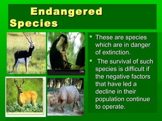 EEnnddaannggeerreedd 
SSppeecciieess 
 TThheessee aarree ssppeecciieess 
wwhhiicchh aarree iinn ddaannggeerr 
ooff eexxttiinnccttiioonn.. 
 TThhee ssuurrvviivvaall ooff ssuucchh 
ssppeecciieess iiss ddiiffffiiccuulltt iiff 
tthhee nneeggaattiivvee ffaaccttoorrss 
tthhaatt hhaavvee lleedd aa 
ddeecclliinnee iinn tthheeiirr 
ppooppuullaattiioonn ccoonnttiinnuuee 
ttoo ooppeerraattee.. 
 