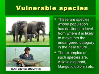 VVuullnneerraabbllee ssppeecciieess 
 TThheessee aarree ssppeecciieess 
wwhhoossee ppooppuullaattiioonn 
hhaass ddeecclliinneedd ttoo lleevveell 
ffrroomm wwhheerree iitt iiss lliikkeellyy 
ttoo mmoovvee iinnttoo tthhee 
eennddaannggeerreedd ccaatteeggoorryy 
iinn tthhee nneeaarr ffuuttuurree .. 
 TThhee eexxaammpplleess ooff 
ssuucchh ssppeecciieess aarree,, 
AAssiiaattiicc eelleepphhaanntt,, 
GGaannggeettiicc ddoollpphhiinn eettcc.. 
 