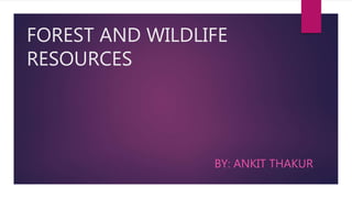 FOREST AND WILDLIFE
RESOURCES
BY: ANKIT THAKUR
 