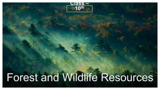 Forest and Wildlife Resources
Class –
10th
 