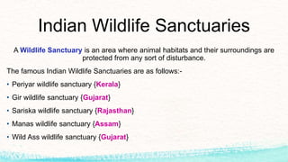 Indian Wildlife Sanctuaries
A Wildlife Sanctuary is an area where animal habitats and their surroundings are
protected from any sort of disturbance.
The famous Indian Wildlife Sanctuaries are as follows:-
• Periyar wildlife sanctuary {Kerala}
• Gir wildlife sanctuary {Gujarat}
• Sariska wildlife sanctuary {Rajasthan}
• Manas wildlife sanctuary {Assam}
• Wild Ass wildlife sanctuary {Gujarat}
 