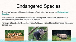 Endangered Species
These are species which are in danger of extinction are known as Endangered
Species.
The survival of such species is difficult if the negative factors that have led to a
decline in their population continue to operate.
For e.g.:- Black Buck, Crocodile, Indian Wild Ass, Indian Rhino, Lion Tailed Macaque,
Sangai, etc.
 