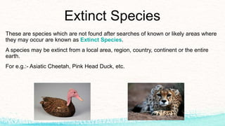 Extinct Species
These are species which are not found after searches of known or likely areas where
they may occur are known as Extinct Species.
A species may be extinct from a local area, region, country, continent or the entire
earth.
For e.g.:- Asiatic Cheetah, Pink Head Duck, etc.
 