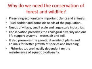 Why do we need the conservation of
forest and wildlife?
• Preserving economically important plants and animals.
• Fuel, fodder and domestic needs of the population .
• Needs of village, small scale and large scale industries.
• Conservation preserves the ecological diversity and our
life support systems – water, air and soil.
• It also preserves the genetic diversity of plants and
animals for better growth of species and breeding.
• Fisheries too are heavily dependent on the
maintenance of aquatic biodiversity.
 