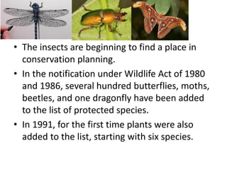 • The insects are beginning to find a place in
conservation planning.
• In the notification under Wildlife Act of 1980
and 1986, several hundred butterflies, moths,
beetles, and one dragonfly have been added
to the list of protected species.
• In 1991, for the first time plants were also
added to the list, starting with six species.
 