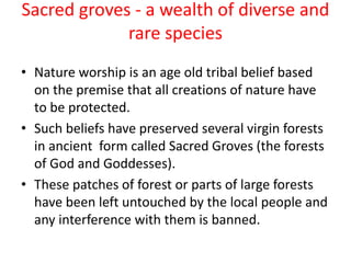 Sacred groves - a wealth of diverse and
rare species
• Nature worship is an age old tribal belief based
on the premise that all creations of nature have
to be protected.
• Such beliefs have preserved several virgin forests
in ancient form called Sacred Groves (the forests
of God and Goddesses).
• These patches of forest or parts of large forests
have been left untouched by the local people and
any interference with them is banned.
 