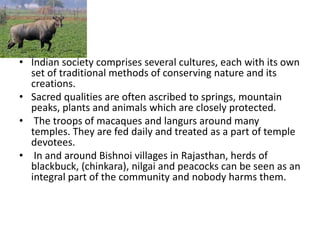 • Indian society comprises several cultures, each with its own
set of traditional methods of conserving nature and its
creations.
• Sacred qualities are often ascribed to springs, mountain
peaks, plants and animals which are closely protected.
• The troops of macaques and langurs around many
temples. They are fed daily and treated as a part of temple
devotees.
• In and around Bishnoi villages in Rajasthan, herds of
blackbuck, (chinkara), nilgai and peacocks can be seen as an
integral part of the community and nobody harms them.
 