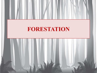 FORESTATION
 