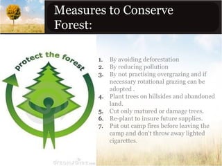 Measures to Conserve
Forest:
1. By avoiding deforestation
2. By reducing pollution
3. By not practising overgrazing and if
necessary rotational grazing can be
adopted .
4. Plant trees on hillsides and abandoned
land.
5. Cut only matured or damage trees.
6. Re-plant to insure future supplies.
7. Put out camp fires before leaving the
camp and don't throw away lighted
cigarettes.

 