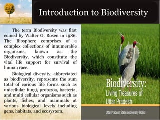 Introduction to Biodiversity
The term Biodiversity was first
coined by Walter G. Rosen in 1986.
The Biosphere comprises of a
complex collections of innumerable
organisms,
known
as
the
Biodiversity, which constitute the
vital life support for survival of
human race.
Biological diversity, abbreviated
as biodiversity, represents the sum
total of carious life forms such as
unicellular fungi, protozoa, bacteria,
and multi cellular organisms such as
plants, fishes, and mammals at
various biological levels including
gens, habitats, and ecosystem.

 