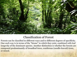 Classification of Forest
Forests can be classified in different ways and to different degrees of specificity.
One such way is in terms of the "biome" in which they exist, combined with leaf
longevity of the dominant species. Another distinction is whether the forests are
composed predominantly of broadleaf trees, coniferous (needle-leaved) trees,
or mixed.

 