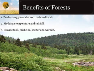 Benefits of Forests
1. Produce oxygen and absorb carbon dioxide.
2. Moderate temperature and rainfall.
3. Provide food, medicine, shelter and warmth.

 