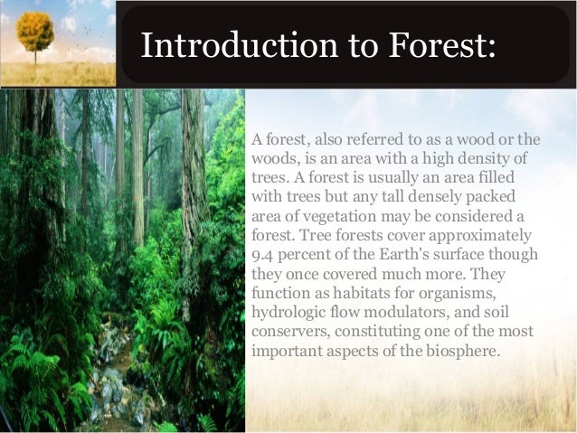 Introduction Of Forest | [PDF] Introduction to Forestry Economics – UQGRJ