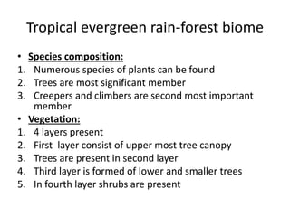 Tree Biomes Forest biomes | PPTX