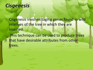 Cisgenesis
Cisgenesis involves taging genes found in wild
relatives of the tree in which they are
inserted.
This technique can be used to produce trees
that have desirable attributes from other
trees.
 