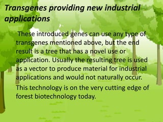 Transgenes providing new industrial
applications
These introduced genes can use any type of
transgenes mentioned above, but the end
result is a tree that has a novel use or
application. Usually the resulting tree is used
as a vector to produce material for industrial
applications and would not naturally occur.
This technology is on the very cutting edge of
forest biotechnology today.
 