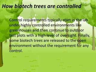 Control requirements typically start in the lab
under highly controlled environments like
greenhouses and then continue to outdoor
test plots with a high level of oversight. Finally,
some biotech trees are released to the open
environment without the requirement for any
control.
How biotech trees are controlled
 