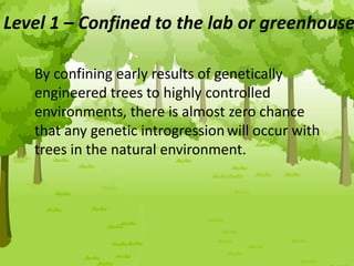 Level 1 – Confined to the lab or greenhouse
By confining early results of genetically
engineered trees to highly controlled
environments, there is almost zero chance
that any genetic introgressionwill occur with
trees in the natural environment.
 