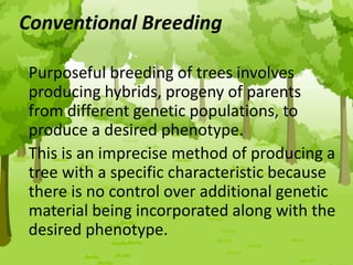 Conventional Breeding
Purposeful breeding of trees involves
producing hybrids, progeny of parents
from different genetic populations, to
produce a desired phenotype.
This is an imprecise method of producing a
tree with a specific characteristic because
there is no control over additional genetic
material being incorporated along with the
desired phenotype.
 