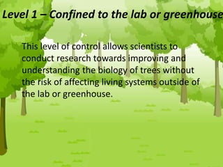 Level 1 – Confined to the lab or greenhouse
This level of control allows scientists to
conduct research towards improving and
understanding the biology of trees without
the risk of affecting living systems outside of
the lab or greenhouse.
 