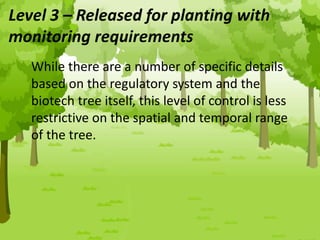 Level 3 – Released for planting with
monitoring requirements
While there are a number of specific details
based on the regulatory system and the
biotech tree itself, this level of control is less
restrictive on the spatial and temporal range
of the tree.
 