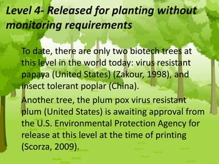 Level 4- Released for planting without
monitoring requirements
To date, there are only two biotech trees at
this level in the world today: virus resistant
papaya (United States) (Zakour, 1998), and
insect tolerant poplar (China).
Another tree, the plum pox virus resistant
plum (United States) is awaiting approval from
the U.S. Environmental Protection Agency for
release at this level at the time of printing
(Scorza, 2009).
 