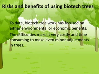 Risks and benefits of using biotech trees
To date, biotech tree work has focused on
either environmental or economic benefits.
The difficulties make it very costly and time
consuming to make even minor adjustments
in trees.
 