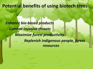 Potential benefits of using biotech trees
Enhance bio-based products
Combat invasive threats
Maximize forest productivity
Replenish indigenous people‚ forest
resources
 