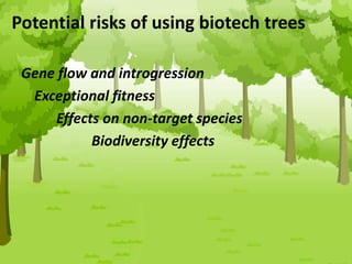 Potential risks of using biotech trees
Gene flow and introgression
Exceptional fitness
Effects on non-target species
Biodiversity effects
 