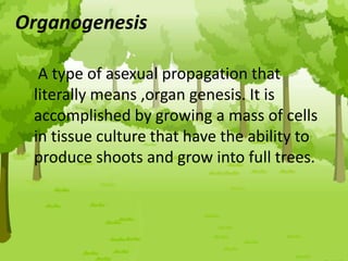 Organogenesis
A type of asexual propagation that
literally means ‚organ genesis. It is
accomplished by growing a mass of cells
in tissue culture that have the ability to
produce shoots and grow into full trees.
 