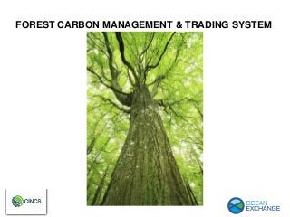 FOREST CARBON MANAGEMENT & TRADING SYSTEM
 