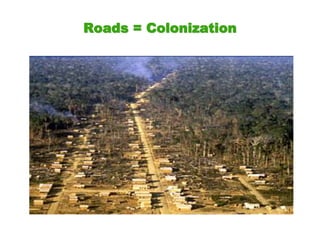 Roads = Colonization
 