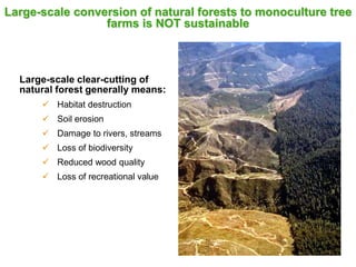 Large-scale conversion of natural forests to monoculture tree
farms is NOT sustainable
Large-scale clear-cutting of
natural forest generally means:
 Habitat destruction
 Soil erosion
 Damage to rivers, streams
 Loss of biodiversity
 Reduced wood quality
 Loss of recreational value
 
