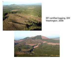 SFI certified logging, SW
Washington, 2006
 