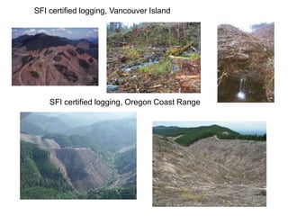 SFI certified logging, Vancouver Island
SFI certified logging, Oregon Coast Range
 