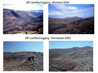 SFI certified logging, Montana 2004
SFI certified logging, Tennessee 2003
 