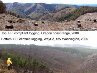 Top: SFI compliant logging, Oregon coast range, 2000
Bottom: SFI certified logging, WeyCo, SW Washington, 2005
 