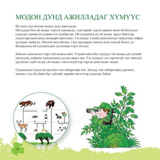 24
ÌÎÄÎÍ ÄÓÍÄ ÀÆÈËËÀÄÀÃ Õ¯Ì¯¯Ñ
Èõ îëîí õ¿í íîãîîí ìîäîí äóíä àæèëëàäàã.
Îé ñóäëàë áîë îé ìîäûã õýðõýí õàìãààëàõ, òýäãýýðèéã õýðõýí ¿ðæèë øèìòýé áîëãîõûã
ñóäàëäàã øèíæëýõ óõààíû íýã ñàëáàð þì. Îé ñóäëàà÷èä íü îé ìîäûã ýð¿¿ë áàéëãàæ,
óõààëãààð àøèãëàõàä àíõàààð÷ àæèëëàíà. Òýä ìîäûã õýäèéä àøèãëàëòûí çîðèëãîîð òàéðàõ
õóãàöààã øèéääýã. Íîãîîí ìîä ºâ÷ëºõ, òýíä àìüäàðäàã àìüòàä èäýõ þìã¿é áîëîõ, óñ
áîõèðäîõîä îé ñóäëàà÷èäûí òóñëàëöàà õýðýã áîëäîã.
Áàéãàëü õàìãààëàã÷ íàð ÷ îé ìîäíû íàéç. Òýäíèé àæèë áîë õ¿ì¿¿ñò îé ìîäíû ¿íý öýíèéã
îéëãóóëæ, õàéðëàí õàìãààëàõàä òóñëàõ ÿâäàë þì. Òýä õ¿ì¿¿ñò ãàë ãàðãàõã¿é, õîã õàÿõã¿é,
óðãàìëûã ñ¿éòãýõã¿é, îé ìîäûã ãýìòýýëã¿éãýýð õýðõýí àøèãëàõûã çààäàã.
Ñóäëàà÷äûí õóâüä îé ìîä áîë òîì ëàáîðàòîðè þì. Ýíýõ¿¿ òîì ëàáîðàòîðèä óðãàìàë,
àìüòàí ãýýä îéä áàéõ á¿õ ç¿éëèéã íàðèéí ÷èãëýëýýð ñóäàëäàã áàéíà.
 