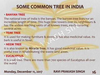 Monday, December 11, 2017 RAVI PRAKASH SINGH 16
SOME COMMON TREE IN INDIA
• BANYAN TREE
The national tree of India is the banyan. The banyan tree lives for an
incredible length of time. This huge tree towers over its neighbours &
has the widest reaching roots of all known trees, easily covering
several acres.
• TEAK TREE
It is used for making furniture & doors. It has also medicinal value. Its
bark is useful in fever.
• NEEM TREE
It is also known as Miracle Tree. It has good medicinal value. It is
useful tree in rehabilitating the waste land areas.
• EUCALYPTUS
It is a tall tree. There are more than 700 species of Eucalyptus all over
the world
 