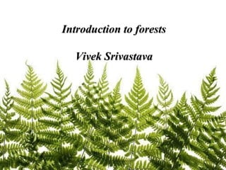 Introduction to forestsIntroduction to forests
Vivek SrivastavaVivek Srivastava
 