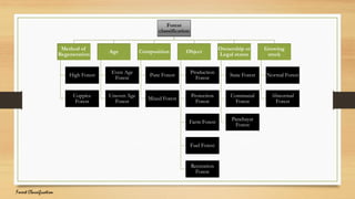Forest Classification and objective .pdf