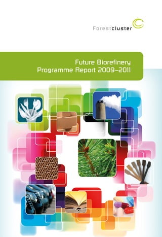 Future Biorefinery
Programme Report 2009–2011
 