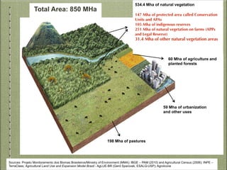 Forest Code Brazilian Forests: back to landscapes? Challenges and Strategies for ...